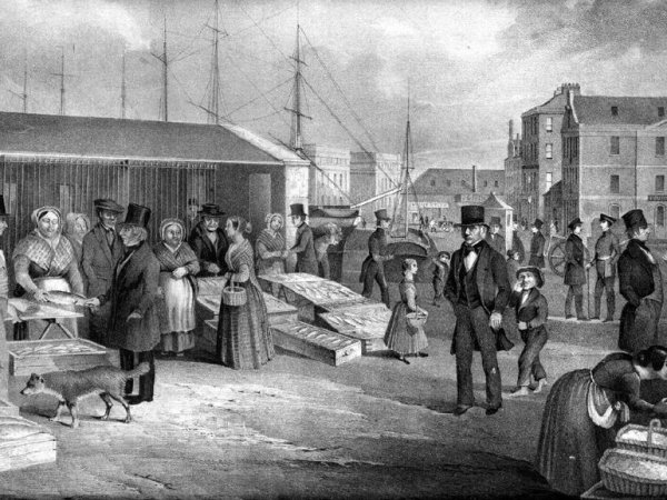 An Officer of the&nbsp;Fishery